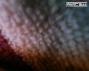 floret_777_130616_1433_myfreecams