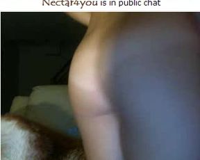 nectar4you 4