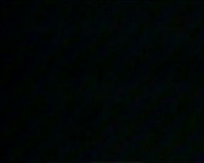 Pam Brown classic model 2