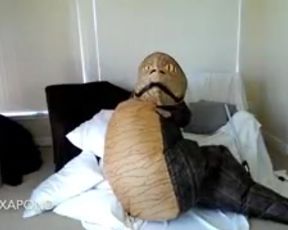 alexapond 1