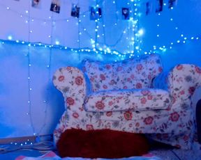 cutediana ticket recording