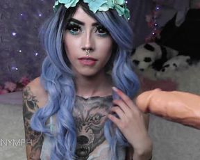 Kiittenymph in Nymphs