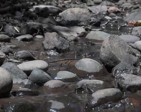 OUSweetHeart Abandoned