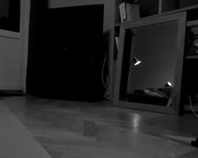 WildOlivia 28042017