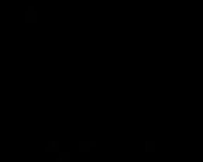 amateur homemade couple Janine Lindemulder & Vince Neil