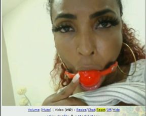 NIAHARRIS2