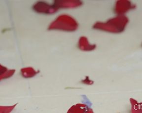 sensual.like.a.rose