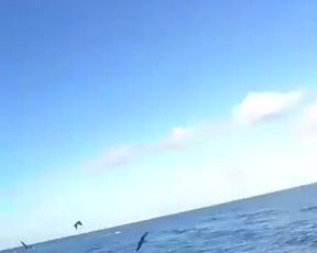 pareja argentina en la playa