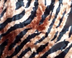 Leonessafree webcam show 2020-01-12_15-44-56_337