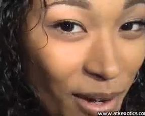 Atkexotics Model Terrari 2