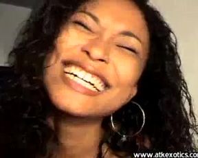 Atkexotics Model Terrari 1