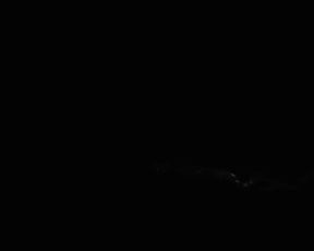 Little_thing webcam show 2020-01-20_05-03-01_536