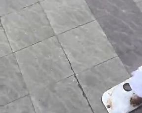 Exhibicionist