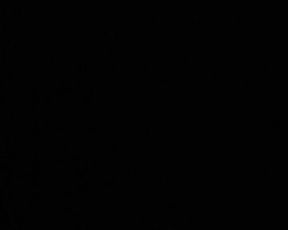 Danielatwk webcam show 2020-02-16_16-39-44_235