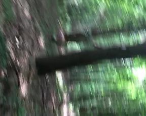 Aswildorange forest