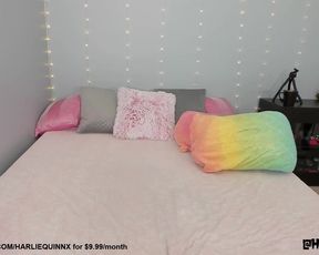 harliequinnx 199