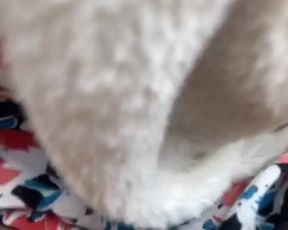 Sara fun cam recording 2020-07-05 16-41-59 747