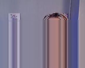 DorothyToby webcam show 2020-08-07 12-19-45 582